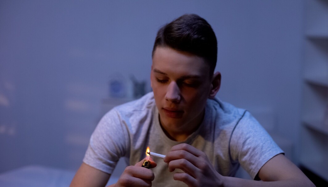 Færre unge nå enn før, tror cannabis er skadelig. Men egentlig kan det faktisk være mer skadelig enn før, ifølge forskerne. Færre unge nå enn før, tror cannabis er skadelig. Men egentlig kan det faktisk være mer skadelig enn før, ifølge forskerne.