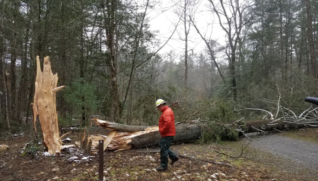 Vind er ansvarlig for tre fjerdedeler av skader på norsk skog. Her fra følgene av en storm i USA i 2018 Vind er ansvarlig for tre fjerdedeler av skader på norsk skog. Her fra følgene av en storm i USA i 2018