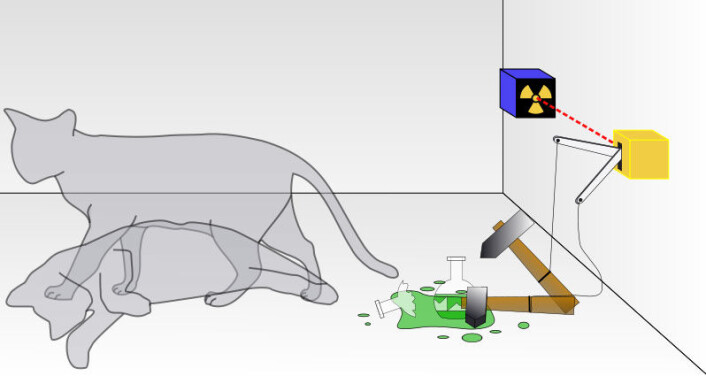 Schrödingers katt. (Foto: (Illustrasjon: Dhatfield / wikimedia commons)) Schrödingers katt. (Foto: (Illustrasjon: Dhatfield / wikimedia commons))