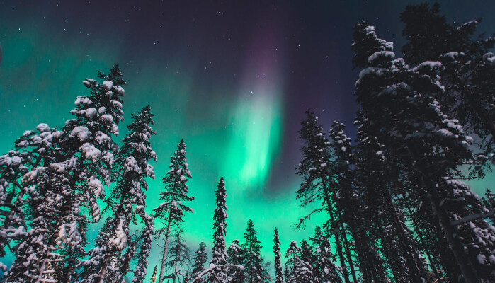 Menneskene som levde for 41 000 år fikk se mye nordlys, ifølge forskningen. Menneskene som levde for 41 000 år fikk se mye nordlys, ifølge forskningen.