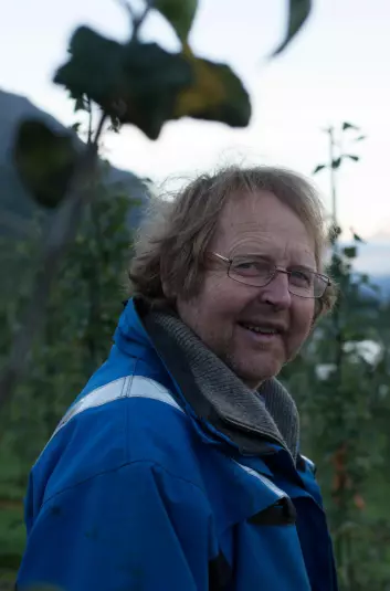 Seniorforskar Mekjell Meland arbeider med å tilpasse epledyrking til nordlige klimaforhold. (Foto: Anette Tjomsland)