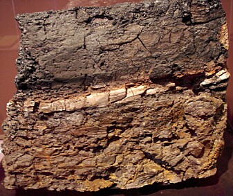 Steinlag fra Wyoming. Stripa i midten inneholder 1000 ganger mer iridium enn det øvre og nedre området. Steinlag fra Wyoming. Stripa i midten inneholder 1000 ganger mer iridium enn det øvre og nedre området.