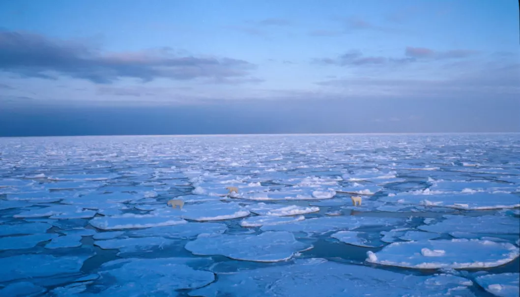 Islagt hav. Forskning på sjøis i Barentshavet 1999. Foto: Sebastian Gerland.
