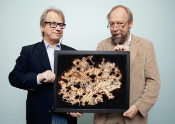 Professorene Håvard Danielsen og Fritz Albregtsen har utviklet et avansert dataprogram som kan beregne hvor alvorlig kreften er ved å studere hvordan DNA-strengen er pakket sammen i cellekjerner. (Foto: Yngve Vogt) Professorene Håvard Danielsen og Fritz Albregtsen har utviklet et avansert dataprogram som kan beregne hvor alvorlig kreften er ved å studere hvordan DNA-strengen er pakket sammen i cellekjerner. (Foto: Yngve Vogt)