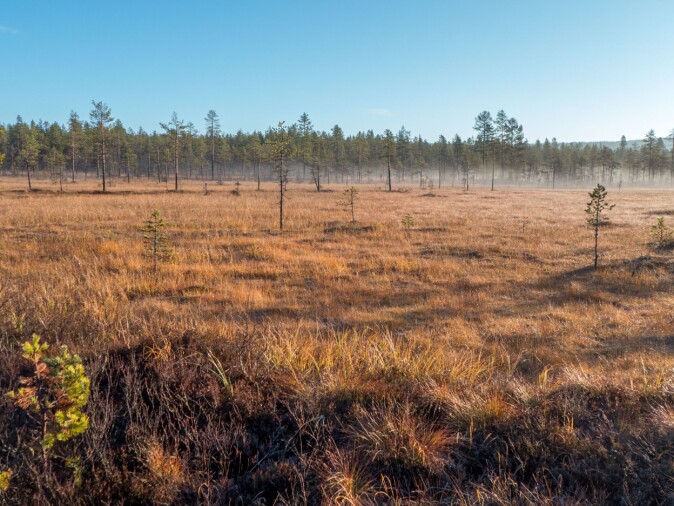Det i dag strenge restriksjoner rundt nydyrking av myr. Det i dag strenge restriksjoner rundt nydyrking av myr.