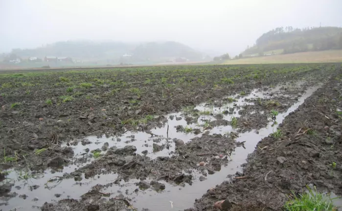 Mye regn fører til bløte jorder som lett pakker seg, noe som kan bety økt klimagassutslipp.