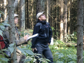Forskerne studerer vekst og vitalitet på trær med tørkeskader på forsøksfeltet i Ås. (Foto: Severin Woxholtt / Skog og landskap) Forskerne studerer vekst og vitalitet på trær med tørkeskader på forsøksfeltet i Ås. (Foto: Severin Woxholtt / Skog og landskap)