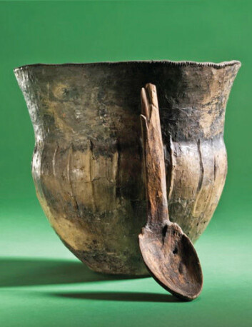 Et 6000 år gammelt kokekar av keramikk med treskje funnet i Åmose på Sjælland i Danmark. Kokekaret ble antagelig satt ned i en myr som en gave til gudene. (Foto: Anders Fischer) Et 6000 år gammelt kokekar av keramikk med treskje funnet i Åmose på Sjælland i Danmark. Kokekaret ble antagelig satt ned i en myr som en gave til gudene. (Foto: Anders Fischer)