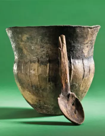 Et 6000 år gammelt kokekar av keramikk med treskje funnet i Åmose på Sjælland i Danmark. Kokekaret ble antagelig satt ned i en myr som en gave til gudene. (Foto: Anders Fischer)