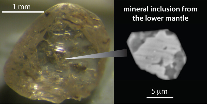 En ørliten mineralinneslutning, nesten som et insekt fanget i rav. Det lille kornet forteller mye om jordas dype indre. (Foto: Science/AAAS) En ørliten mineralinneslutning, nesten som et insekt fanget i rav. Det lille kornet forteller mye om jordas dype indre. (Foto: Science/AAAS)