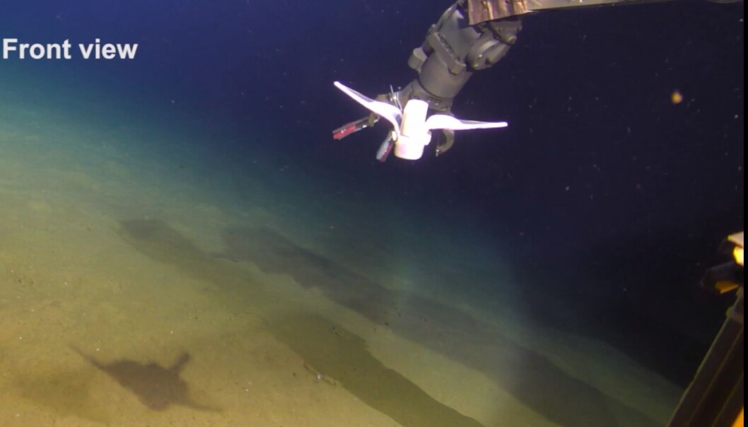 Her testes den lille, myke roboten langt under havet. Den svømmer fra en robotarm, som du kan se i bakgrunnen. Her testes den lille, myke roboten langt under havet. Den svømmer fra en robotarm, som du kan se i bakgrunnen.