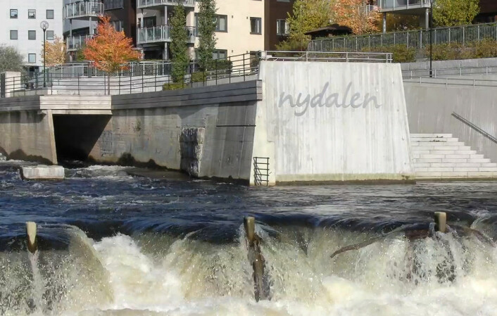 Utslippskanalen til Akerselva for spillvarme-vann i Nydalen, Oslo (Foto: Arnfinn Christensen)