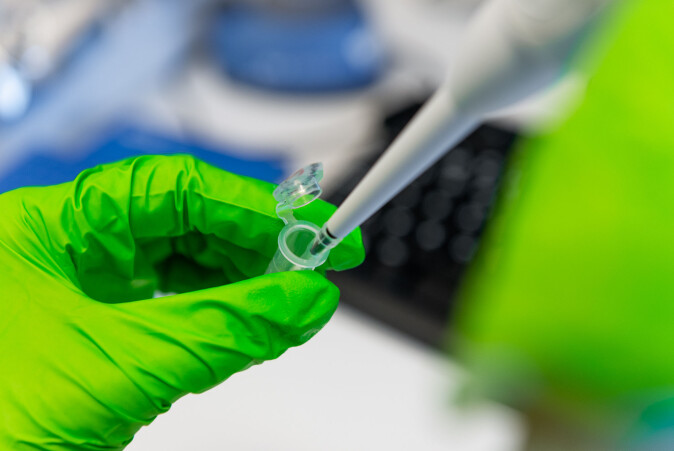 Ved å hente ut selve DNA-et og studere det, kan forskerne nå si noe om hvilke gener som er aktive og passive. Ved å hente ut selve DNA-et og studere det, kan forskerne nå si noe om hvilke gener som er aktive og passive.