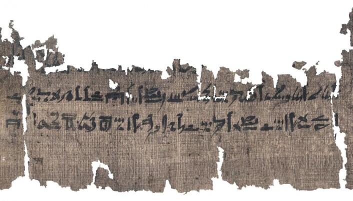 Papyrusrullen er det nest lengste medisinske dokumentet som er funnet fra gamle Egypt. Papyrusrullen er det nest lengste medisinske dokumentet som er funnet fra gamle Egypt.