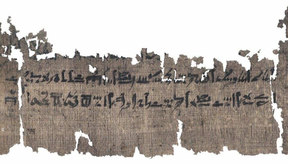 Papyrusrullen er det nest lengste medisinske dokumentet som er funnet fra gamle Egypt.