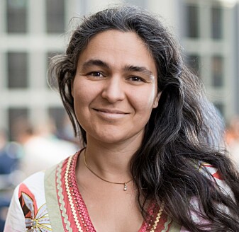 Laurence Romani fra Handelshøgskolen i Stockholm. Laurence Romani fra Handelshøgskolen i Stockholm.