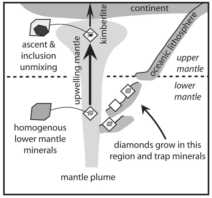 Figuren viser hvordan diamanter og inneslutninger dannes i havskorpe som har sunket ned i den nedre mantelen. Deretter blir de transportert opp til den øvre mantelen, og seinere til overflaten i kimberlitt-magma. (Foto: (Figur: Science/AAAS)) Figuren viser hvordan diamanter og inneslutninger dannes i havskorpe som har sunket ned i den nedre mantelen. Deretter blir de transportert opp til den øvre mantelen, og seinere til overflaten i kimberlitt-magma. (Foto: (Figur: Science/AAAS))