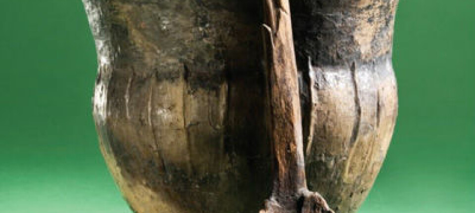 Et 6 000 år gammelt kokekar av keramikk med treskje fra Åmose på Sjælland i Danmark. Det ble antagelig satt ned i en myr som en gave til gudene. Anders Fischer