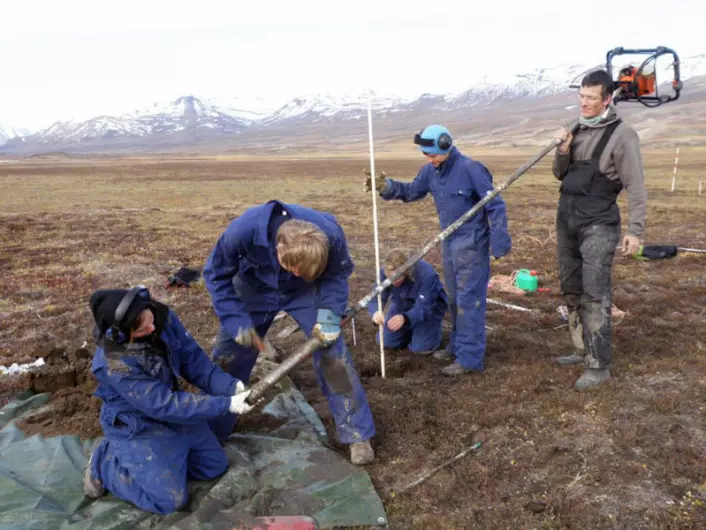 København-professor Bo Elberling (t.h.) og UNIS-studenter tar boreprøver av permafrost ved Zackenberg på det nordøstlige Grønland i forbindelse med den nye studien. (Foto: Hanne C. Christiansen/UNIS)