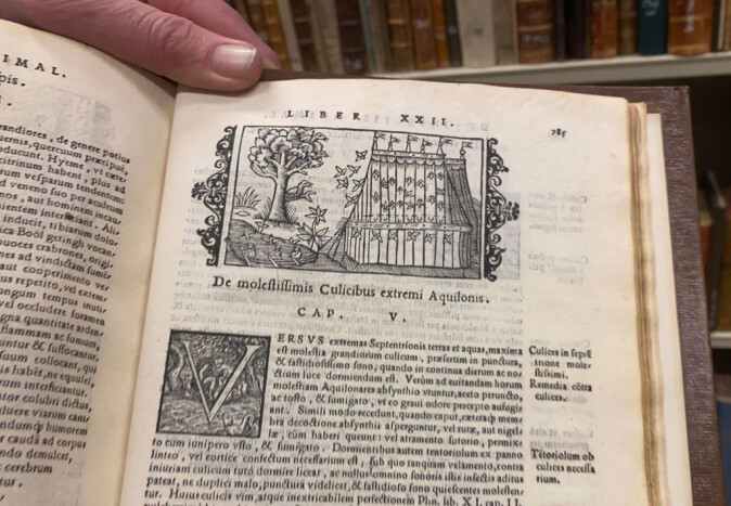 Olaus Magnus viser hvordan et myggnett kan beskytte folk mot plagsomme insekter. Olaus Magnus viser hvordan et myggnett kan beskytte folk mot plagsomme insekter.