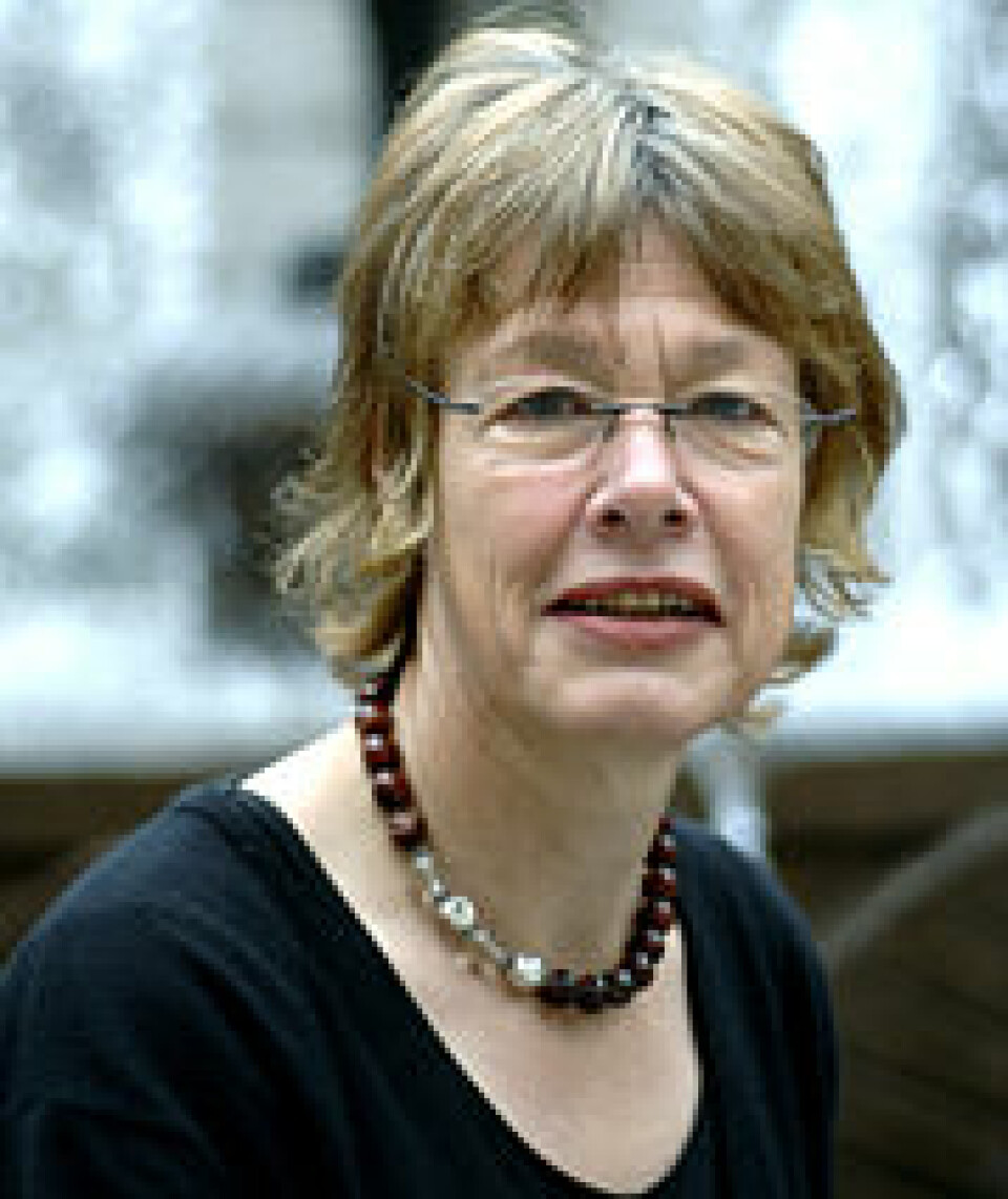 Anne Hellum er professor ved Institutt for offentlig rett ved Det juridiske fakultet, UiO. (Foto: UiO)