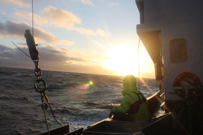 På tokt i Barentshavet sommeren 2010. (Foto: Akvaplan-NIVA) På tokt i Barentshavet sommeren 2010. (Foto: Akvaplan-NIVA)