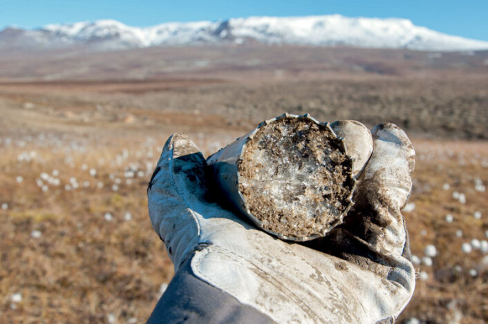 Prøve av permafrost med mye is, tatt ved Zackenberg på Grønland. (Foto: Bo Elberling, CENPERM, Center for Permafrost, Københavns Universitet) Prøve av permafrost med mye is, tatt ved Zackenberg på Grønland. (Foto: Bo Elberling, CENPERM, Center for Permafrost, Københavns Universitet)