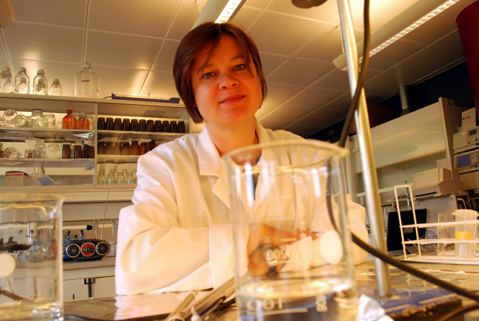 I et laboratorium på Framsenteret i Tromsø prøver Seniorforsker i NILU, Dorte Herzke å løse et mysterium, hvor det mystiske PFAS kommer fra. (Foto: Helge M. Markusson, Framsenteret)