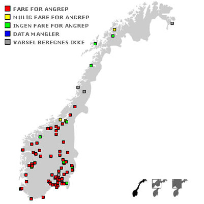Firkantene viser risiko for angrep av soppsykdommer eller insekter på avlinger i varslingstjenesten VIPS (Varsling Innen PlanteSkadegjørere). (Foto: (Figur: VIPS, Bioforsk Plantehelse)) Firkantene viser risiko for angrep av soppsykdommer eller insekter på avlinger i varslingstjenesten VIPS (Varsling Innen PlanteSkadegjørere). (Foto: (Figur: VIPS, Bioforsk Plantehelse))