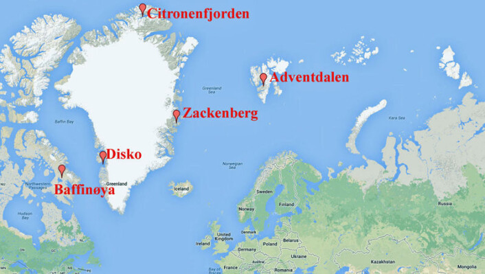 Studien er basert fra prøver fra ulike steder i Arktis. (Foto: (Kart: Google Maps/tilpasset forskning.no)) Studien er basert fra prøver fra ulike steder i Arktis. (Foto: (Kart: Google Maps/tilpasset forskning.no))