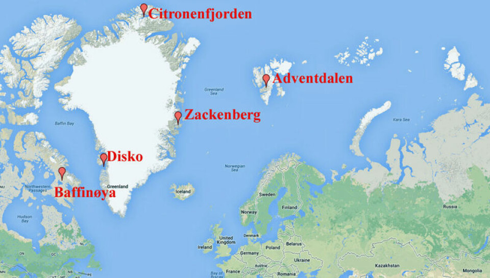 Studien er basert fra prøver fra ulike steder i Arktis. (Foto: (Kart: Google Maps/tilpasset forskning.no))