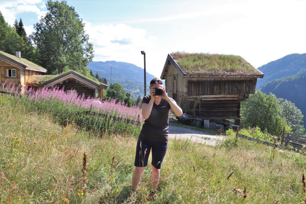 Forskar Ulrike Bayr på feltarbeid i Hjartdal, Vestfold og Telemark. Forskar Ulrike Bayr på feltarbeid i Hjartdal, Vestfold og Telemark.