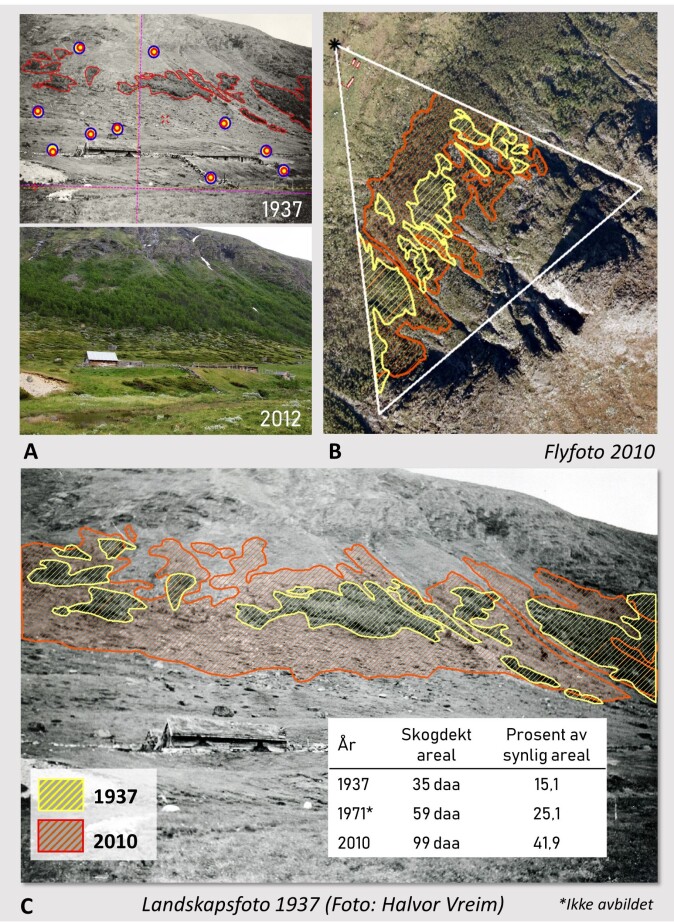 Monoplotting gjer det mogleg å kartleggje areal direkte på eit landskapsfoto (A) ved å kartfeste bildepunkt og deretter kombinere dei med andre geodata frå flyfoto (B). Resultatet kan førast tilbake til skråperspektivet og leggjast over landskapsbildet for visualisering og formidling (C). Monoplotting gjer det mogleg å kartleggje areal direkte på eit landskapsfoto (A) ved å kartfeste bildepunkt og deretter kombinere dei med andre geodata frå flyfoto (B). Resultatet kan førast tilbake til skråperspektivet og leggjast over landskapsbildet for visualisering og formidling (C).