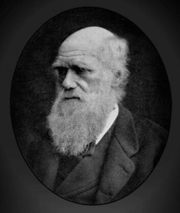 Charles Darwin skrev i 1851 om noe han syntes var interessant i havet ved Norge. Siden har få brydd seg om det. (Foto: Wikimedia Commons) Charles Darwin skrev i 1851 om noe han syntes var interessant i havet ved Norge. Siden har få brydd seg om det. (Foto: Wikimedia Commons)