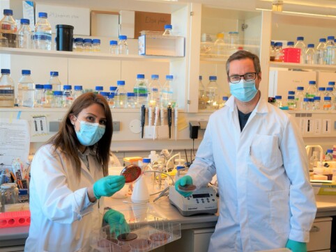 Bacteria Use Enzymes To Defuse The Immune System Bacteria Use Enzymes To Defuse The Immune System