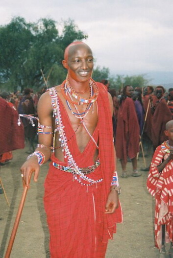 "En masai iført tradisjonell klesdrakt. Dette er et skremmende syn for elefanter i Kenya. (Foto: Richard Byrne, University of St. Andrews)." "En masai iført tradisjonell klesdrakt. Dette er et skremmende syn for elefanter i Kenya. (Foto: Richard Byrne, University of St. Andrews)."