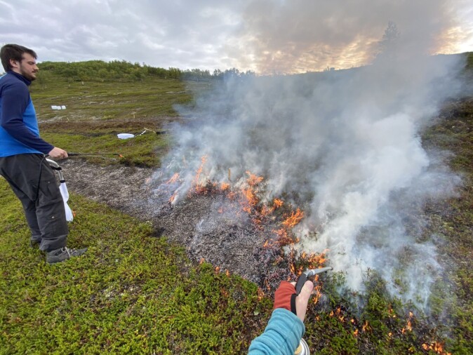 I forsøkene fjernes kreklingen enten mekanisk, eller den brennes bort under kontrollerte forhold. Deretter blir det tilsatt ulike jordforbedrende midler, deriblant tang og tare, husdyrgjødsel og mineralgjødsel. I forsøkene fjernes kreklingen enten mekanisk, eller den brennes bort under kontrollerte forhold. Deretter blir det tilsatt ulike jordforbedrende midler, deriblant tang og tare, husdyrgjødsel og mineralgjødsel.