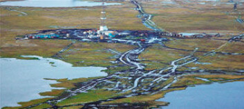 "For sent: Tundra ødelagt av oljeutvinning." "For sent: Tundra ødelagt av oljeutvinning."