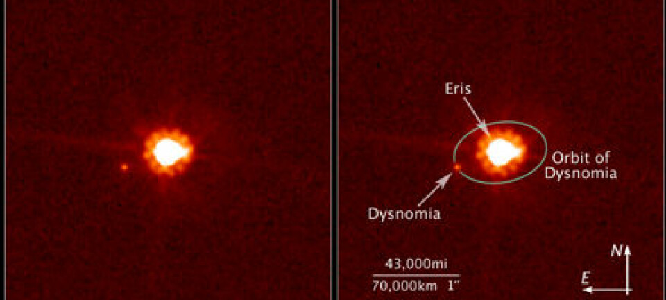 "Bildet til venstre vise dvergplaneten Eris og månen Dysnomia, fotograftert av NASAs Hubble Space Telescope 30. august 2006. Bildet til høyre illustrerer banen Dysnomia har hatt rundt Eris. Bilder av Dysnomias 16 dager lange rundtur rundt Eris er brukt for å regne ut dvergplanetens masse. Foto: NASA, ESA, og M. Brown, California Institute of Technology."