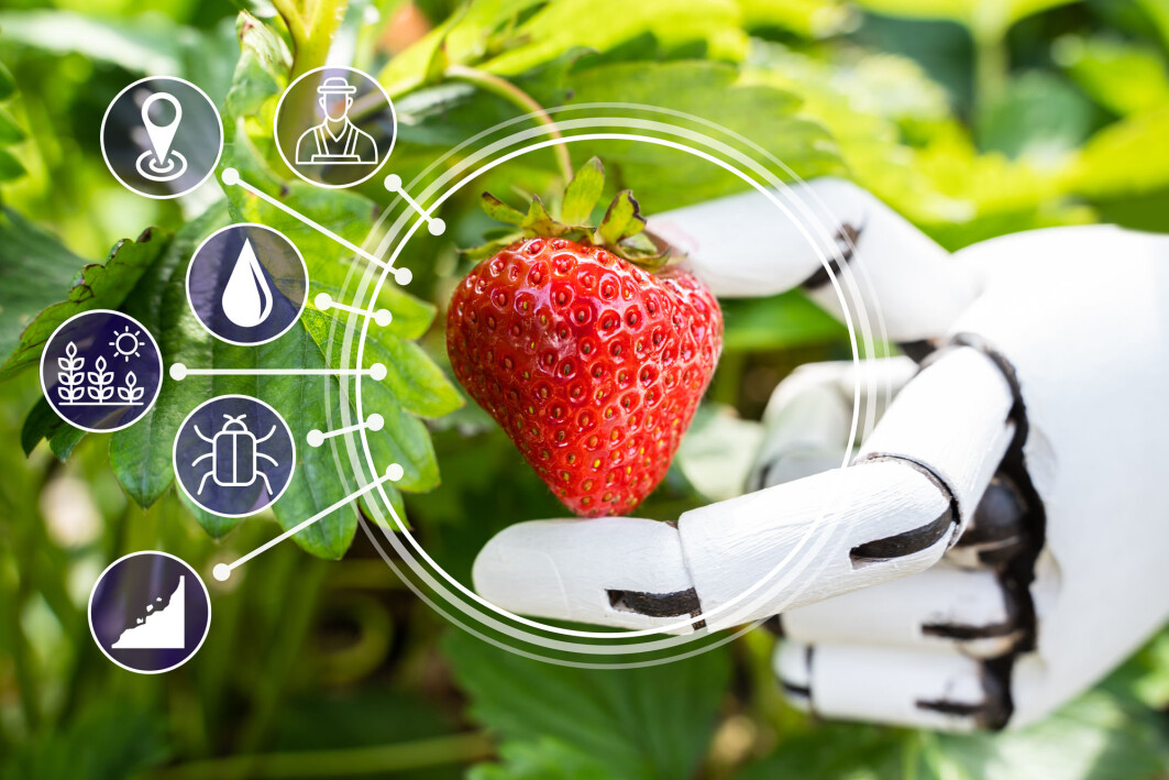 Ai,Farmer,Assistant,Picking,Fresh,Fruit,At,Plant Ai,Farmer,Assistant,Picking,Fresh,Fruit,At,Plant