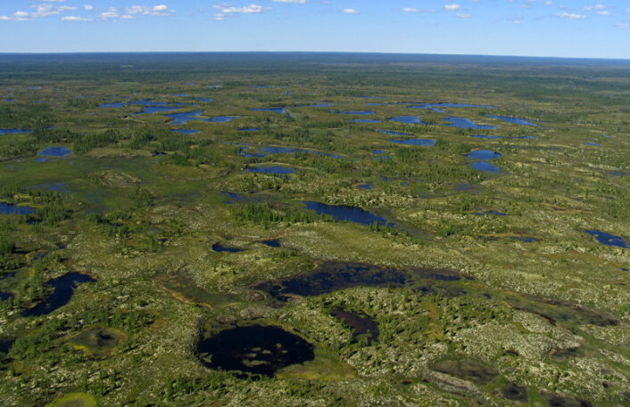Store deler av Arktis, som her i Sibir, er dekket av tundra. (Foto: iStockphoto) Store deler av Arktis, som her i Sibir, er dekket av tundra. (Foto: iStockphoto)