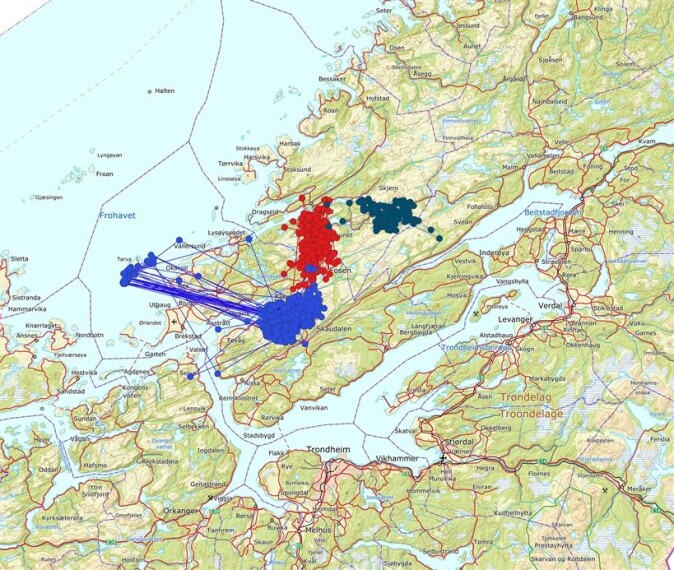 Kartet viser bevegelsene til de tre territorielle kongeørnene som ble merket i prosjektet. Kartet viser bevegelsene til de tre territorielle kongeørnene som ble merket i prosjektet.