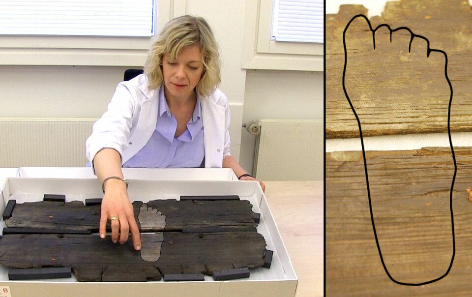 Hanne Lovise Aannestad viser frem planken fra Gokstadskipet. Omrisset av foten er her tydeliggjort. (Foto: Per Byhring / Hanne Jakobsen)