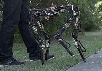 This robot adjusts the length of its legs when stepping from grass to concrete