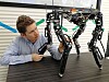 Walk the walk. The robot adapts the best possible body shape as it walks. Walk the walk. The robot adapts the best possible body shape as it walks.
