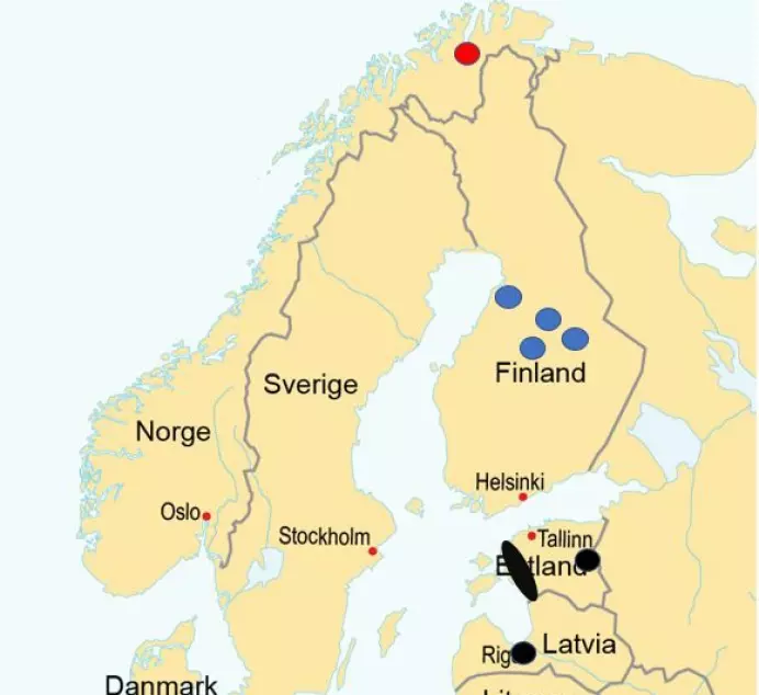 Kartet viser observasjoner av gullsjakal i Lakselv, Finnmark (rød) og i Finland (blå), i tillegg til det nærmeste kjente reproduksjonsområdet og territorielle individer i Baltikum (sort).