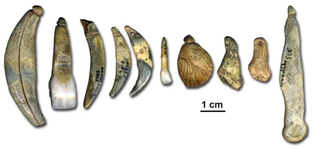 Disse ble laget av neandertalere, mot slutten av tiden før de døde ut, fant forskere ut i 2018. Men lærte de å lage dem av mennesker? Eller lærte de seg det selv? Det er forskerne usikre på. Disse ble laget av neandertalere, mot slutten av tiden før de døde ut, fant forskere ut i 2018. Men lærte de å lage dem av mennesker? Eller lærte de seg det selv? Det er forskerne usikre på.