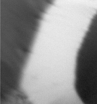 The white and dark regions represent different magnetic regions, having their ‘compass needle’ pointing in different directions. The present study shows how to engineer materials with only one magnetic ordering. Data taken in collaboration with Ingrid Hallsteinsen, Rajesh Chopdekar (SLS), Erik Folven and Jostein Grepstad. The white and dark regions represent different magnetic regions, having their ‘compass needle’ pointing in different directions. The present study shows how to engineer materials with only one magnetic ordering. Data taken in collaboration with Ingrid Hallsteinsen, Rajesh Chopdekar (SLS), Erik Folven and Jostein Grepstad.