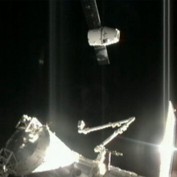 Romkapselen Dragon ankommer Den internasjonale romstasjonen 10.oktober 2012 med første ordinære forsyning. i 2013 skal VEGGIE sendes i en tilsvarende kapsel. (Foto: NASA) Romkapselen Dragon ankommer Den internasjonale romstasjonen 10.oktober 2012 med første ordinære forsyning. i 2013 skal VEGGIE sendes i en tilsvarende kapsel. (Foto: NASA)