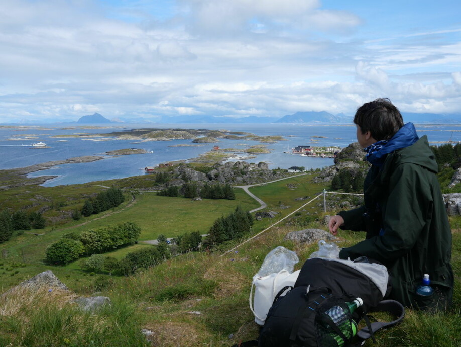 Here’s what the House Sparrow Project study site looks like: a collection of 18 islands off the coast of Helgeland, in northern Norway, each with its own population of house sparrows.